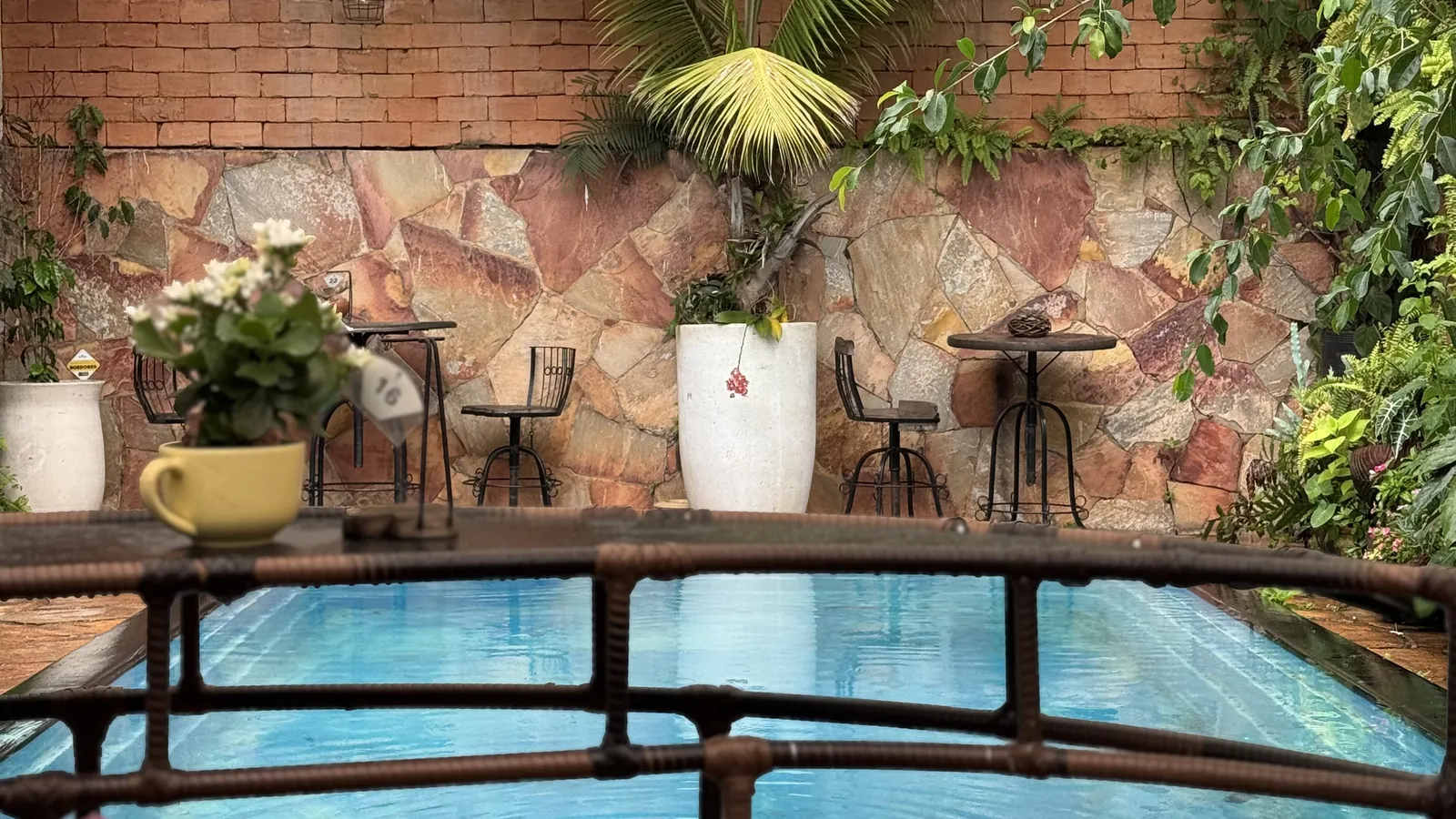 Piscina do quintal com guarda-corpo de ferro, flores e uma caneca na mureta